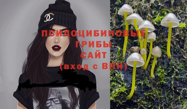 spice Беломорск