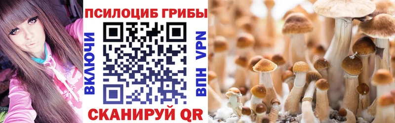 дарк нет как зайти  Мосальск  OMG ссылки  Галлюциногенные грибы мухоморы  где продают  